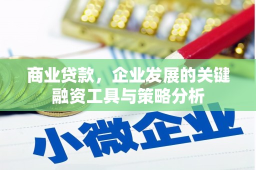 蒙阴商业贷款，企业发展的关键融资工具与策略分析