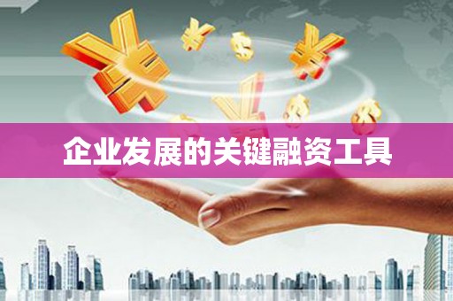 蒙阴企业发展的关键融资工具