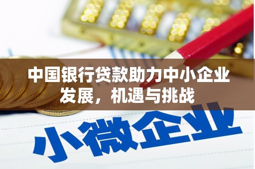 蒙阴中国银行贷款助力中小企业发展，机遇与挑战