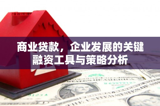 蒙阴商业贷款，企业发展的关键融资工具与策略分析