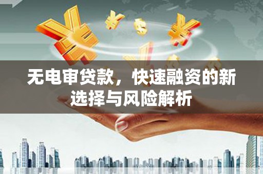 蒙阴无电审贷款，快速融资的新选择与风险解析