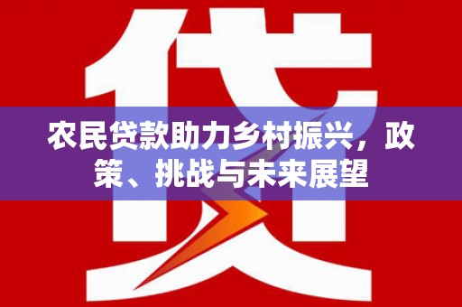 蒙阴农民贷款助力乡村振兴，政策、挑战与未来展望