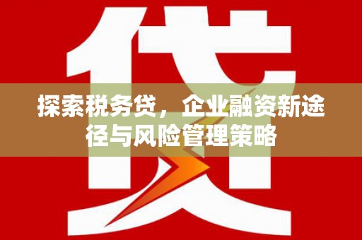 蒙阴探索税务贷，企业融资新途径与风险管理策略
