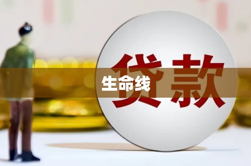 蒙阴生命线