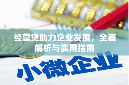 蒙阴经营贷助力企业发展，全面解析与实用指南