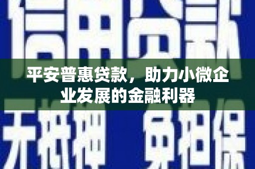 蒙阴平安普惠贷款，助力小微企业发展的金融利器