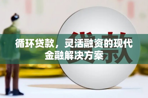 蒙阴循环贷款，灵活融资的现代金融解决方案