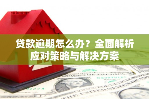 蒙阴贷款逾期怎么办？全面解析应对策略与解决方案