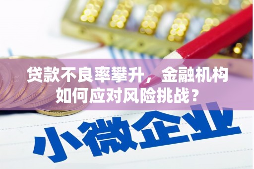 蒙阴贷款不良率攀升，金融机构如何应对风险挑战？