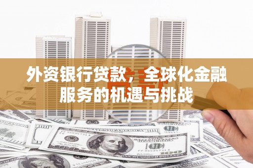 蒙阴外资银行贷款，全球化金融服务的机遇与挑战