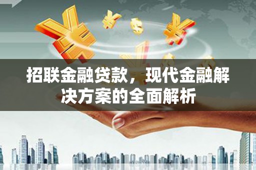 蒙阴招联金融贷款，现代金融解决方案的全面解析