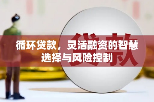 蒙阴循环贷款，灵活融资的智慧选择与风险控制