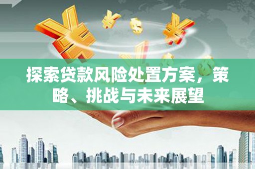 蒙阴探索贷款风险处置方案，策略、挑战与未来展望