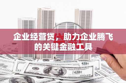 蒙阴企业经营贷，助力企业腾飞的关键金融工具