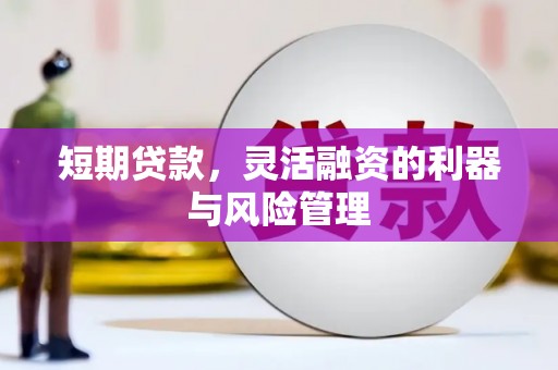 蒙阴短期贷款，灵活融资的利器与风险管理