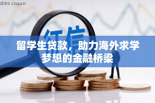 蒙阴留学生贷款，助力海外求学梦想的金融桥梁