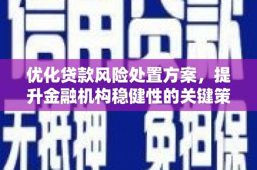 蒙阴优化贷款风险处置方案，提升金融机构稳健性的关键策略