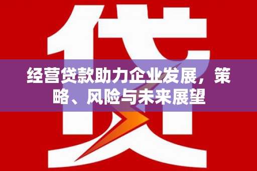 蒙阴经营贷款助力企业发展，策略、风险与未来展望