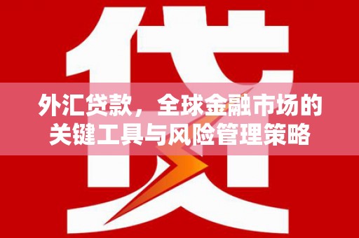 蒙阴外汇贷款，全球金融市场的关键工具与风险管理策略