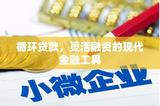 蒙阴循环贷款，灵活融资的现代金融工具