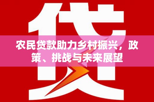蒙阴农民贷款助力乡村振兴，政策、挑战与未来展望