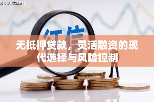 蒙阴无抵押贷款，灵活融资的现代选择与风险控制