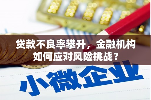 蒙阴贷款不良率攀升，金融机构如何应对风险挑战？