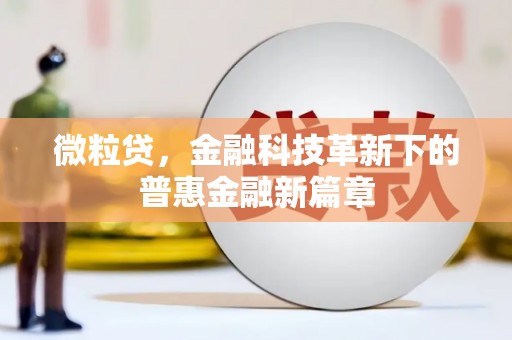 蒙阴微粒贷，金融科技革新下的普惠金融新篇章