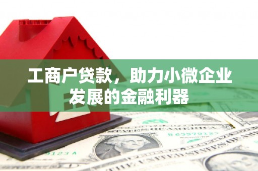 蒙阴工商户贷款，助力小微企业发展的金融利器