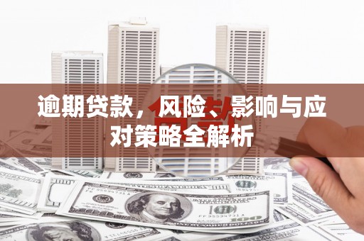 蒙阴逾期贷款，风险、影响与应对策略全解析