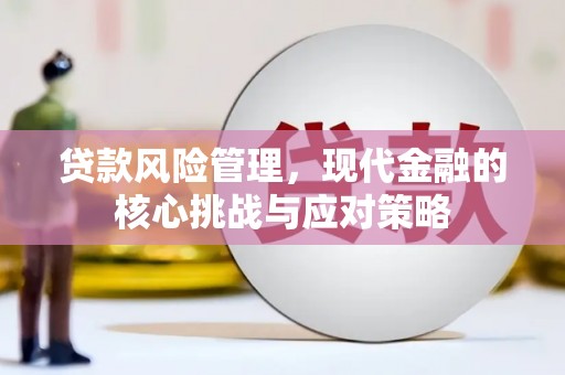 蒙阴贷款风险管理，现代金融的核心挑战与应对策略