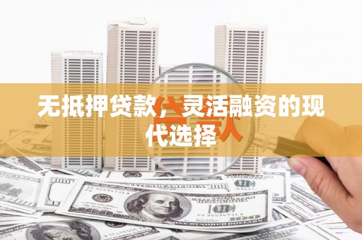 蒙阴无抵押贷款，灵活融资的现代选择