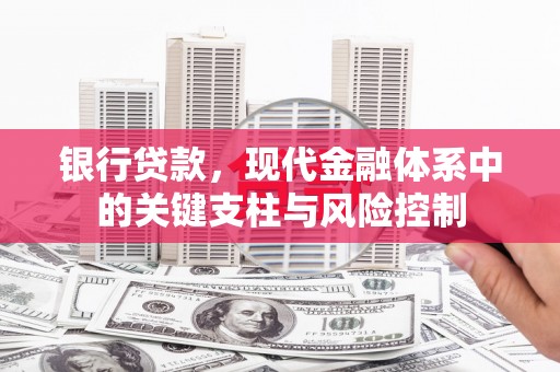 蒙阴银行贷款，现代金融体系中的关键支柱与风险控制