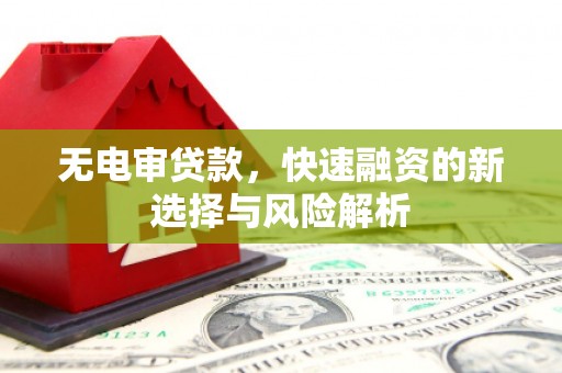 蒙阴无电审贷款，快速融资的新选择与风险解析