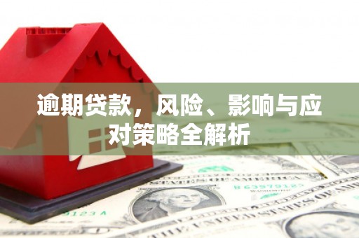 蒙阴逾期贷款，风险、影响与应对策略全解析