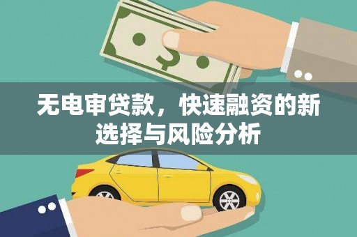 蒙阴无电审贷款，快速融资的新选择与风险分析