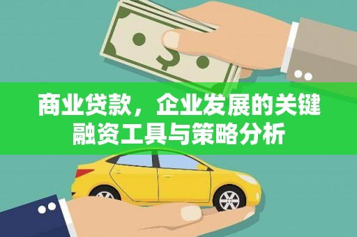 蒙阴商业贷款，企业发展的关键融资工具与策略分析