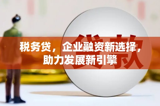 蒙阴税务贷，企业融资新选择，助力发展新引擎