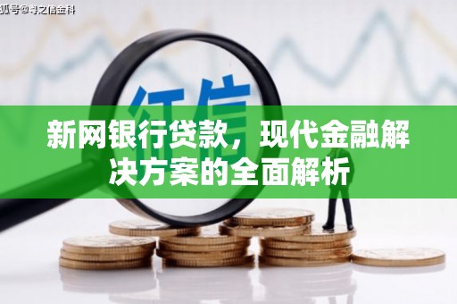 蒙阴新网银行贷款，现代金融解决方案的全面解析