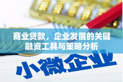 蒙阴商业贷款，企业发展的关键融资工具与策略分析
