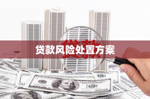 蒙阴贷款风险处置方案