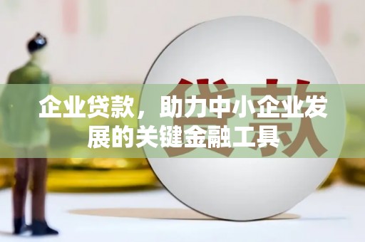 蒙阴企业贷款，助力中小企业发展的关键金融工具
