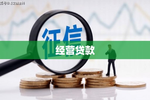 蒙阴经营贷款