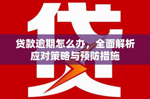 蒙阴贷款逾期怎么办，全面解析应对策略与预防措施