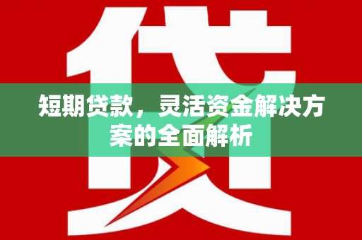蒙阴短期贷款，灵活资金解决方案的全面解析