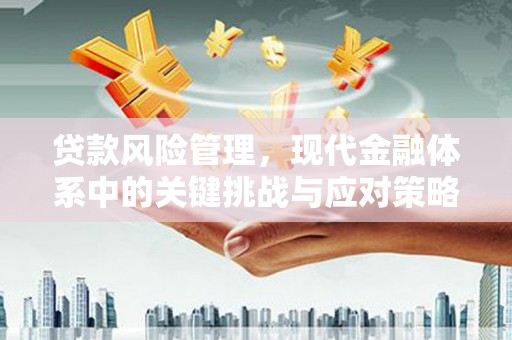 蒙阴贷款风险管理，现代金融体系中的关键挑战与应对策略