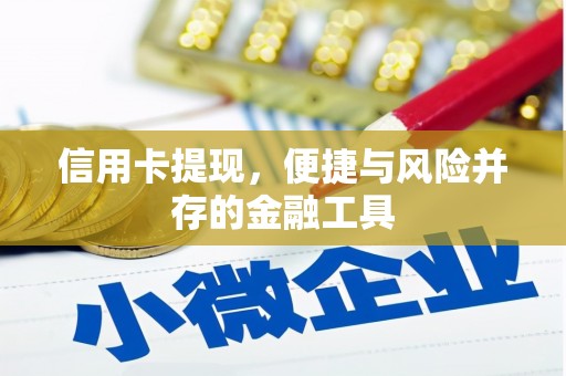 蒙阴信用卡提现，便捷与风险并存的金融工具
