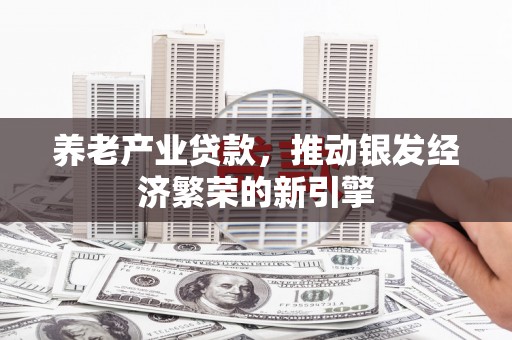蒙阴养老产业贷款，推动银发经济繁荣的新引擎