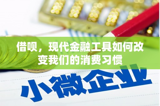 蒙阴借呗，现代金融工具如何改变我们的消费习惯