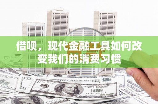 蒙阴借呗，现代金融工具如何改变我们的消费习惯